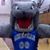 Bruno Basile's profile image
