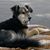 Jody Larkin's profile image