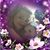 Angela Hand-Hoyle's profile image