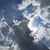 Julie Peterson's profile image