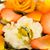 Amanda Applewhite's profile image