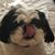 Paige Beals Jaster's profile image