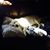 Jeff Cooper's profile image