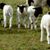 David James Smith's profile image
