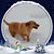 Jeffrey DeLauri's profile image