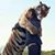 Michael Andrew Armster's profile image