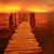 Mohamed Ashraf's profile image