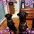 Jennifer Keech Elias's profile image