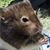 Crystal Q Woods's profile image