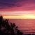 Rachelle Shull's profile image