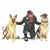 Mary K. Critchley Fournier's profile image