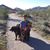Janet Nutter's profile image