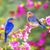Vinh Le's profile image