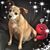 Patty Heffner Henkel's profile image