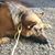 Richard Lee Winand Jr.'s profile image