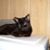 Dawn Laws's profile image