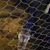 Jason Garton's profile image
