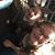 Sherri Terborg Stegenga's profile image