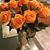Sharon Gianazza's profile image