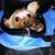 Jill Monteith's profile image