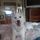 Debra su S.'s profile image