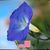 Craig Hunting's profile image
