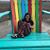 Briana Price's profile image