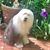 Linda Jacobs's profile image
