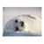Ron Reed's profile image