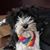 Lisa Knopp Shoemaker's profile image