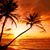 Debbie Pitts's profile image