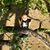 Andrea Solinski's profile image