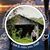 Cathi Cotti's profile image