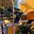 Bryan Cifuentes Rossell's profile image