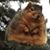 Jaimie Plochocki Avery's profile image