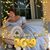Susan Green's profile image