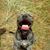 Rebecca Martin's profile image