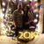 Celina Lemus's profile image