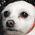 Elizabeth Wade McCullough's profile image