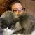 Amy Petri's profile image