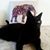 Stella Luna's profile image