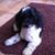 Karen Albritton Starkey's profile image