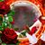 Carolyn McDougald's profile image