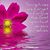 Rose Haddock-Judy's profile image