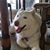 Christine Aiello Crownover's profile image