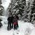 Laura Keegan Ellingwood's profile image