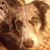 Elizabeth Brooks's profile image