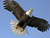 Baker U.'s profile image