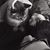 Stephanie Fjelstrom's profile image