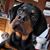 Sherri Moll's profile image